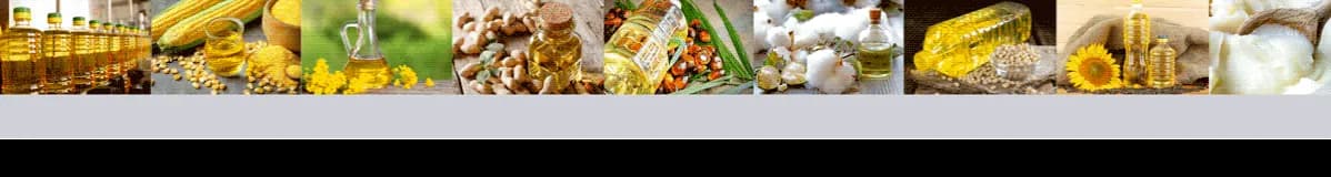 Aceite de maíz para freír: beneficios y secretos que no conocías